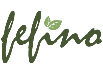 Logo Fefino